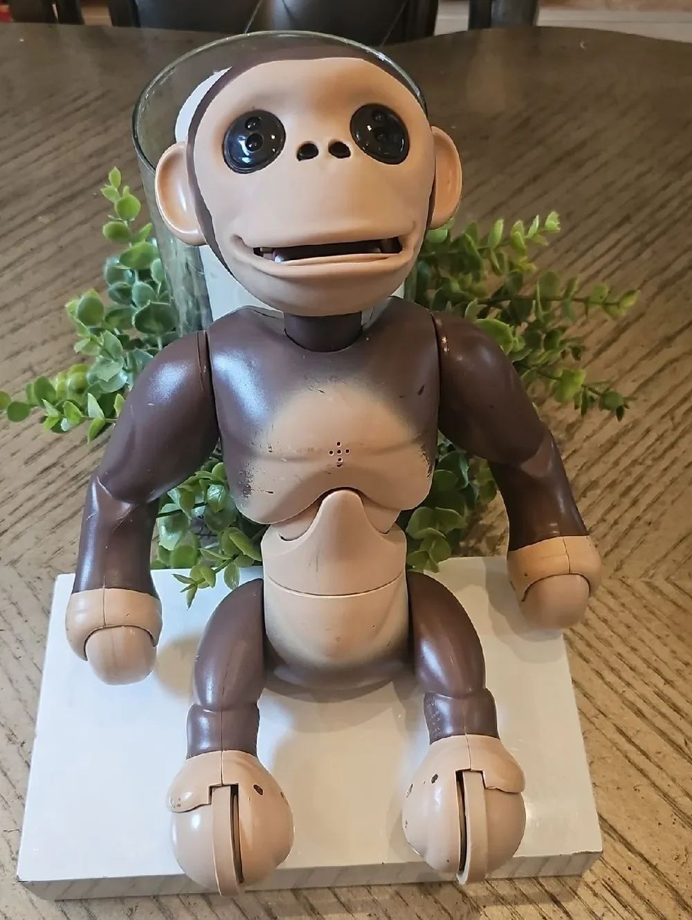 Interactive Chimp Zoomer - Picture 6 of 6